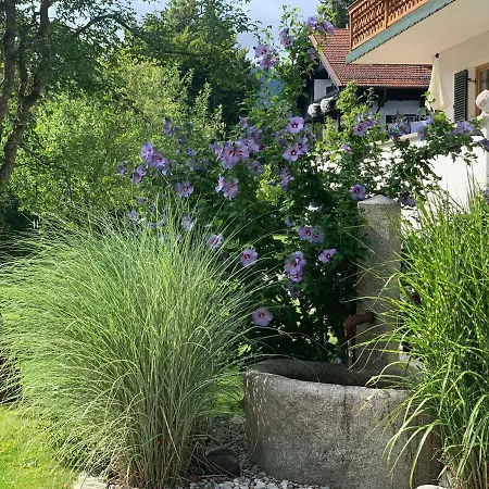 Garni Gaestehaus Brand 3* Bad Wiessee