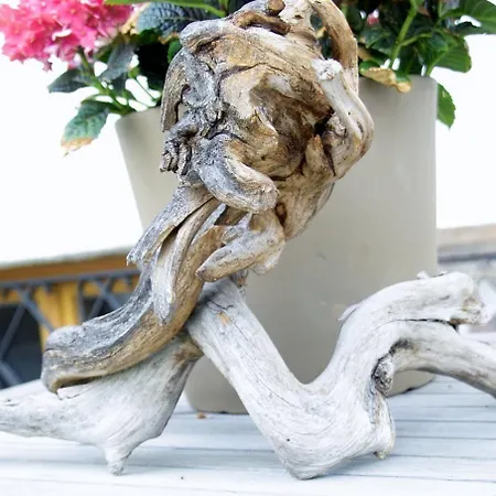 Garni Gaestehaus Brand Hotel Bad Wiessee